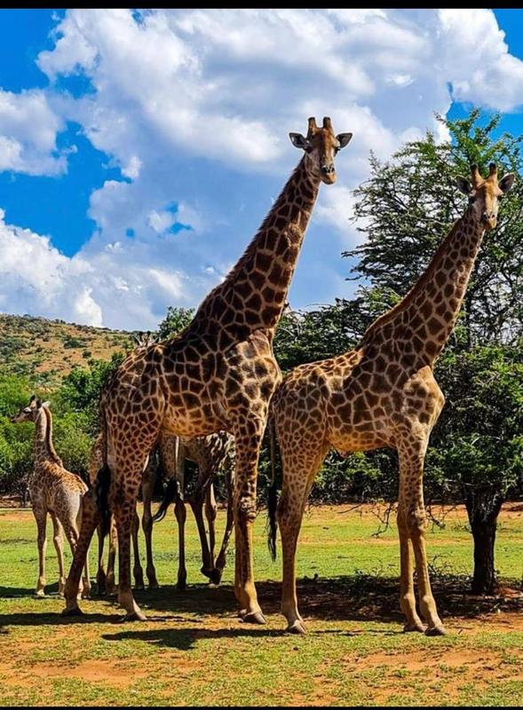 0 Bedroom Property for Sale in Broederstroom North West